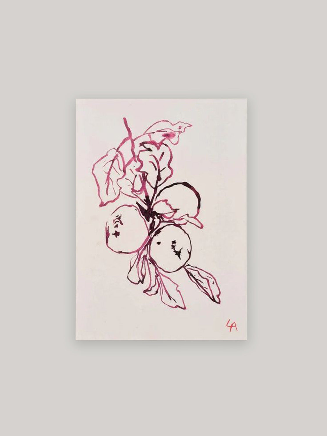 Apple Botanical Art Print | A4