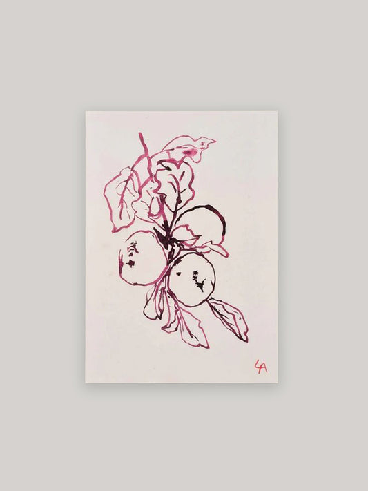 Apple Botanical Art Print | A4