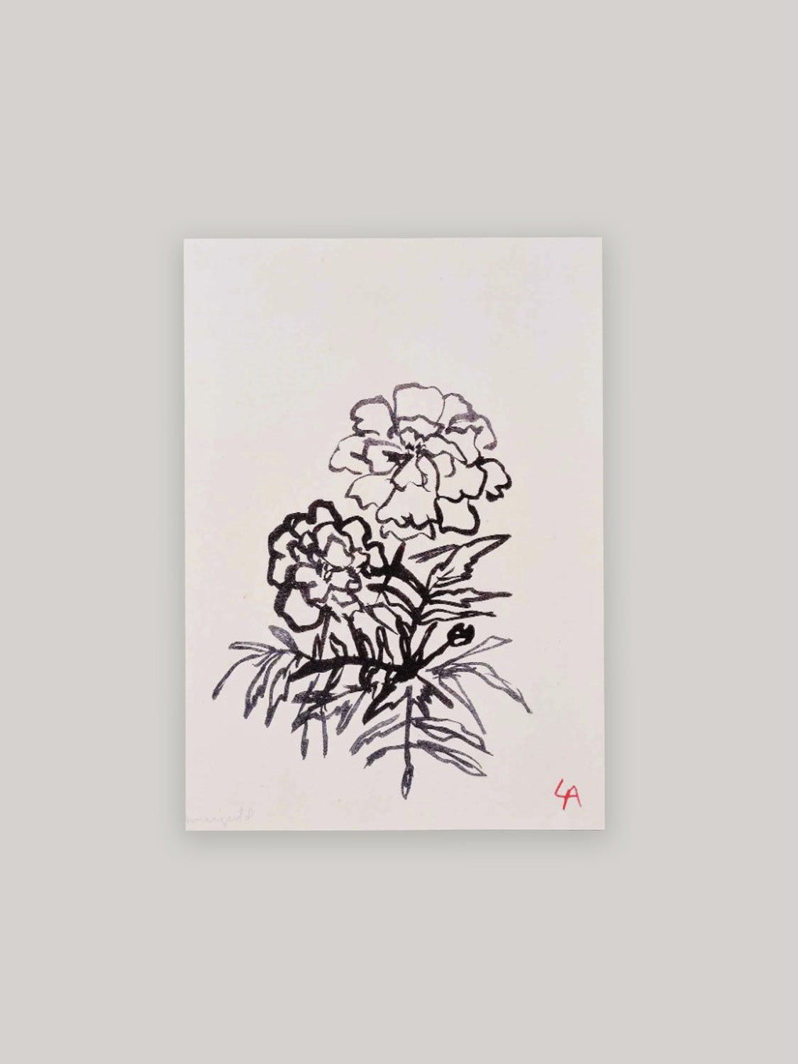Double Marigold Botanical Art Print | A4