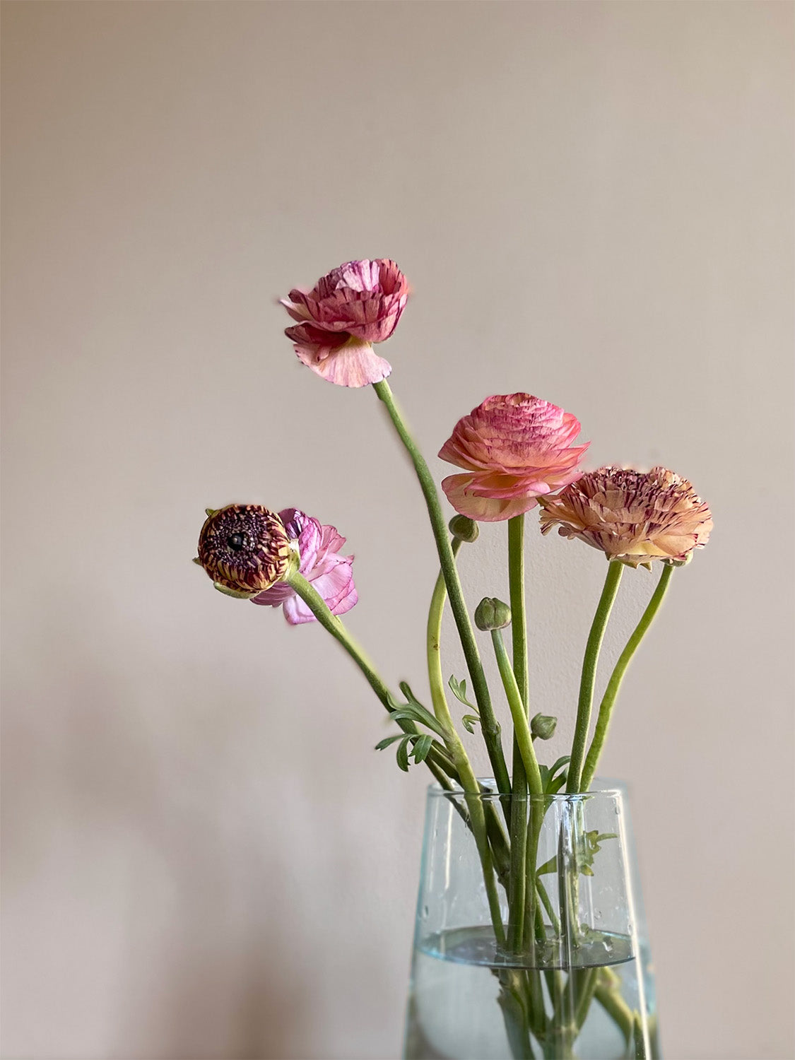 Pink flowers in a clear handmade recycled glass vase against a neutral background.