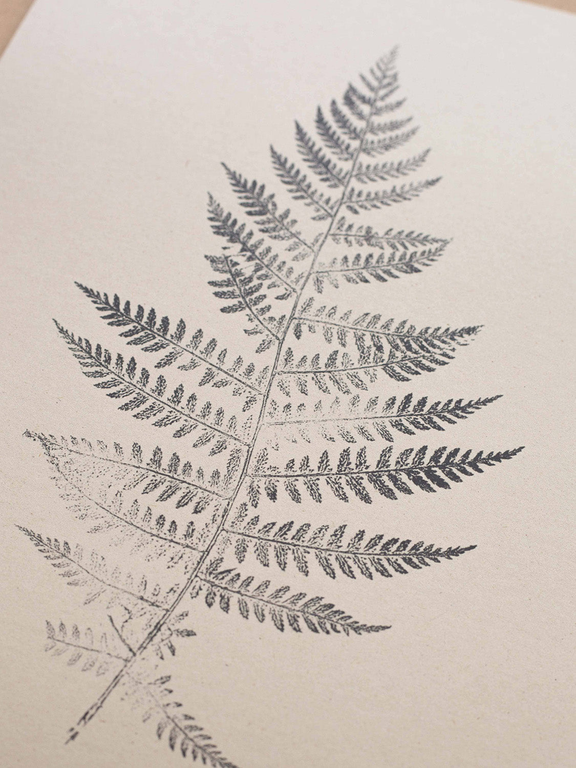 Close-up of fern leaf print on a beige background.