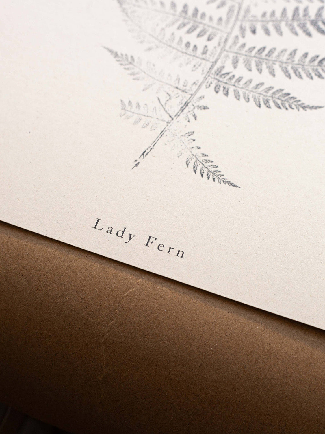 Close-up of fern leaf print on a beige background with 'Lady Fern' text.