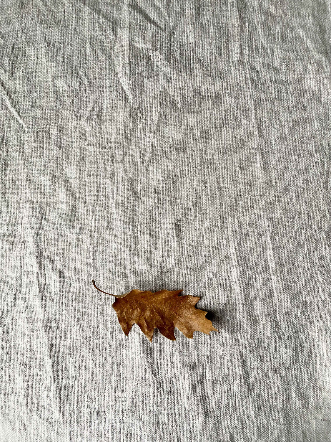 Orange leaf on linen background