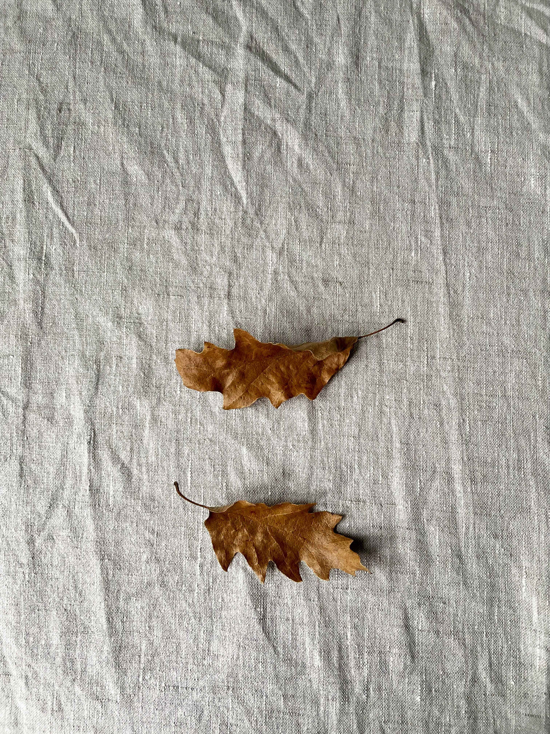 Two orange leaves on linen background