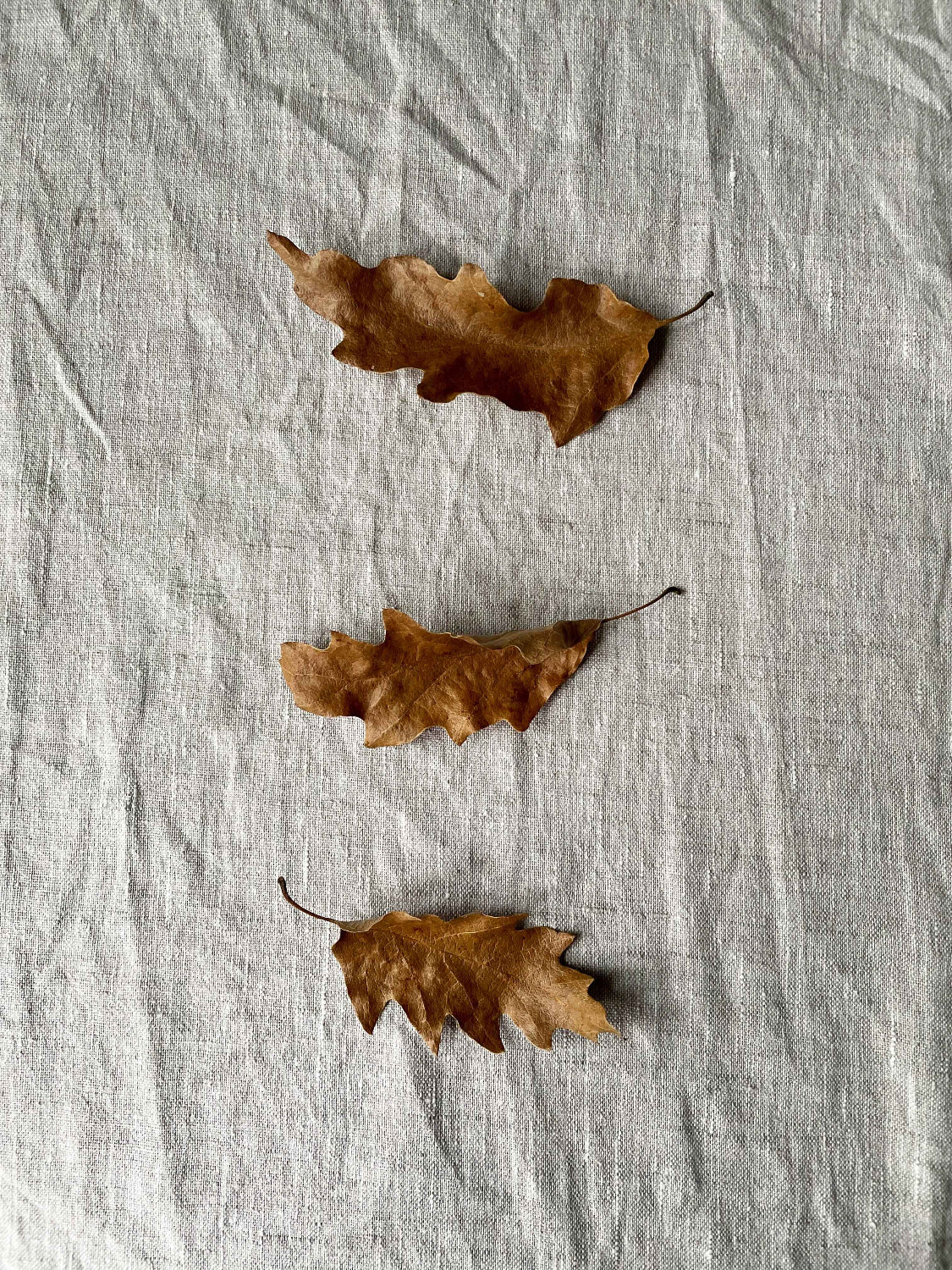 Three orange leaves on linen background