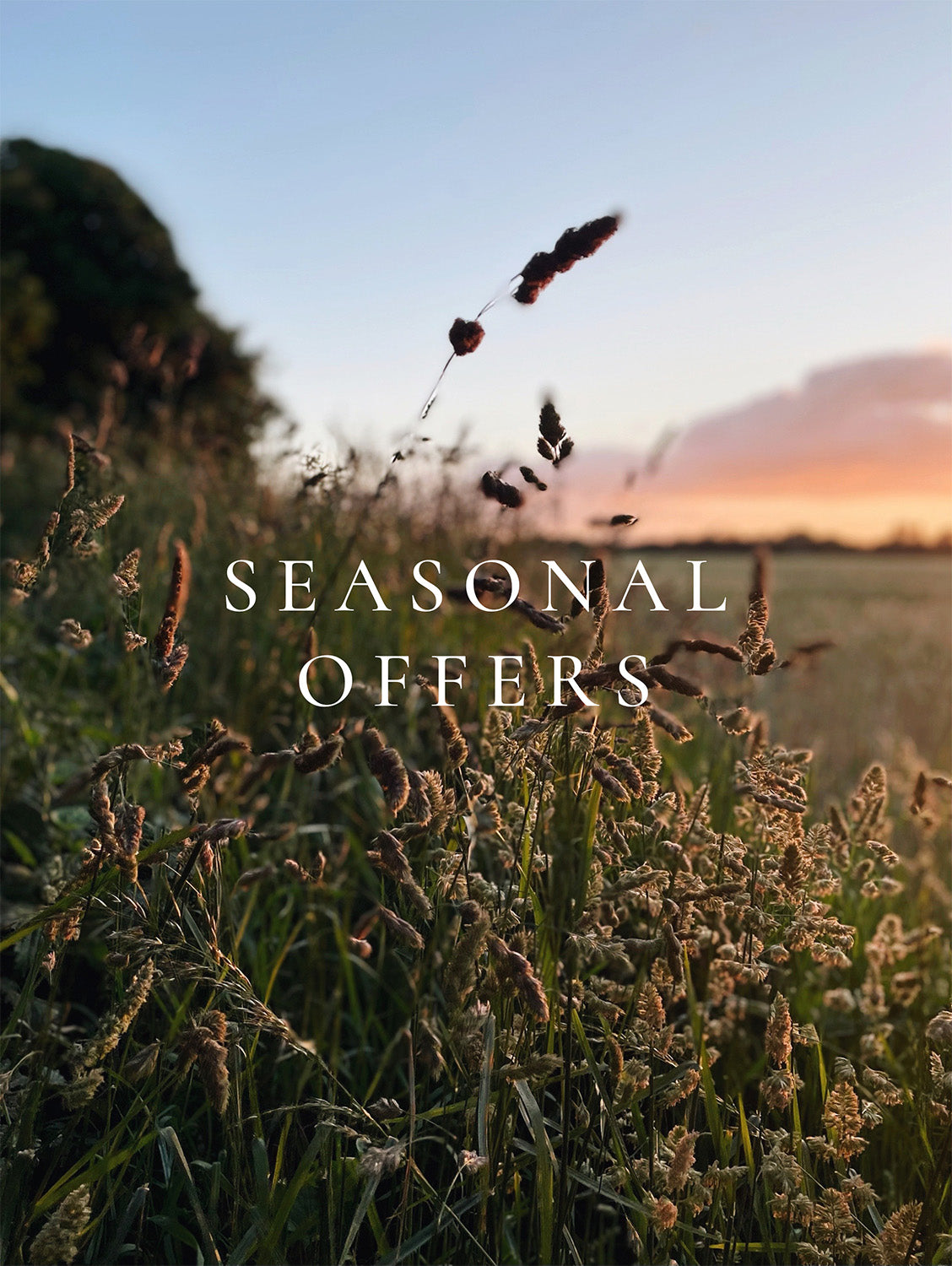 Seasonal Offers