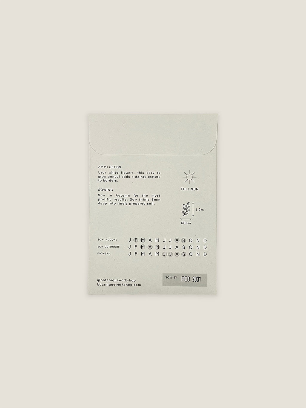 Back of Ammi Majus seed packet with text and growing instructions on a neutral background.