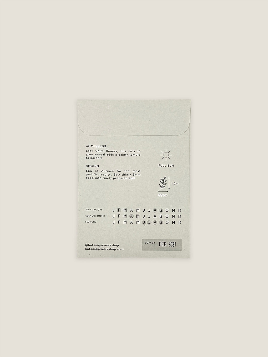 Back of Ammi Majus seed packet with text and growing instructions on a neutral background.