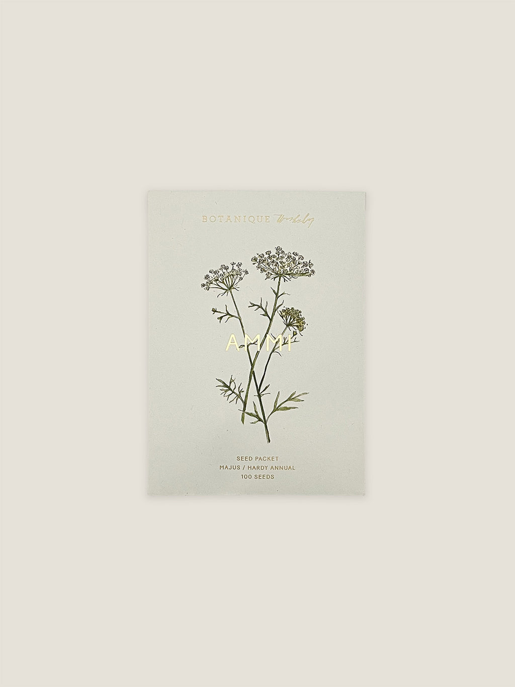 Ammi Majus seed packet with botanical illustration on a neutral background.