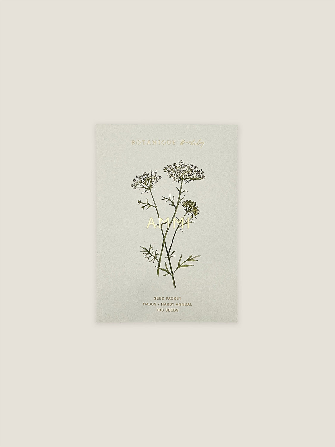 Ammi Majus seed packet with botanical illustration on a neutral background.