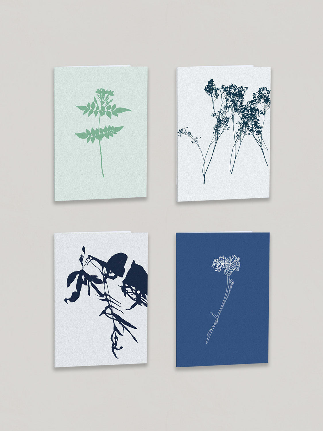 Group of four botanical greetings cards on a plain taupe background - front view.