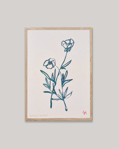 Art print of two Bulbous Crowfoot flowers in teal ink on vintage paper in a natural oak frame