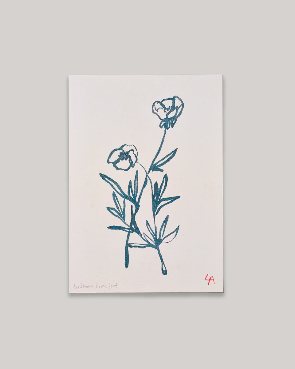 Art print of two Bulbous Crowfoot flowers in teal ink on vintage paper