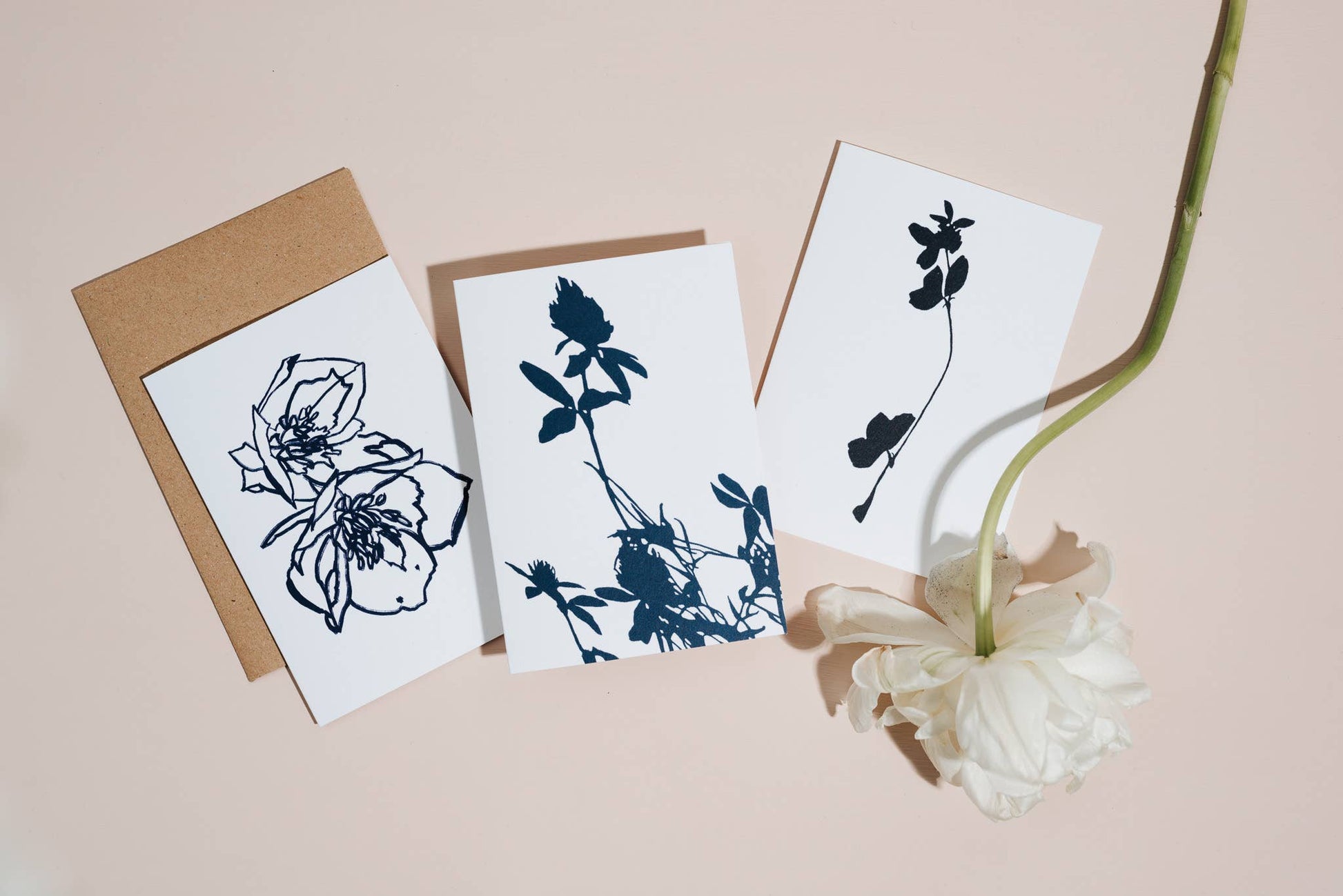 Group of three botanical greetings cards on a plain pale pink background with a single flower with white petals.