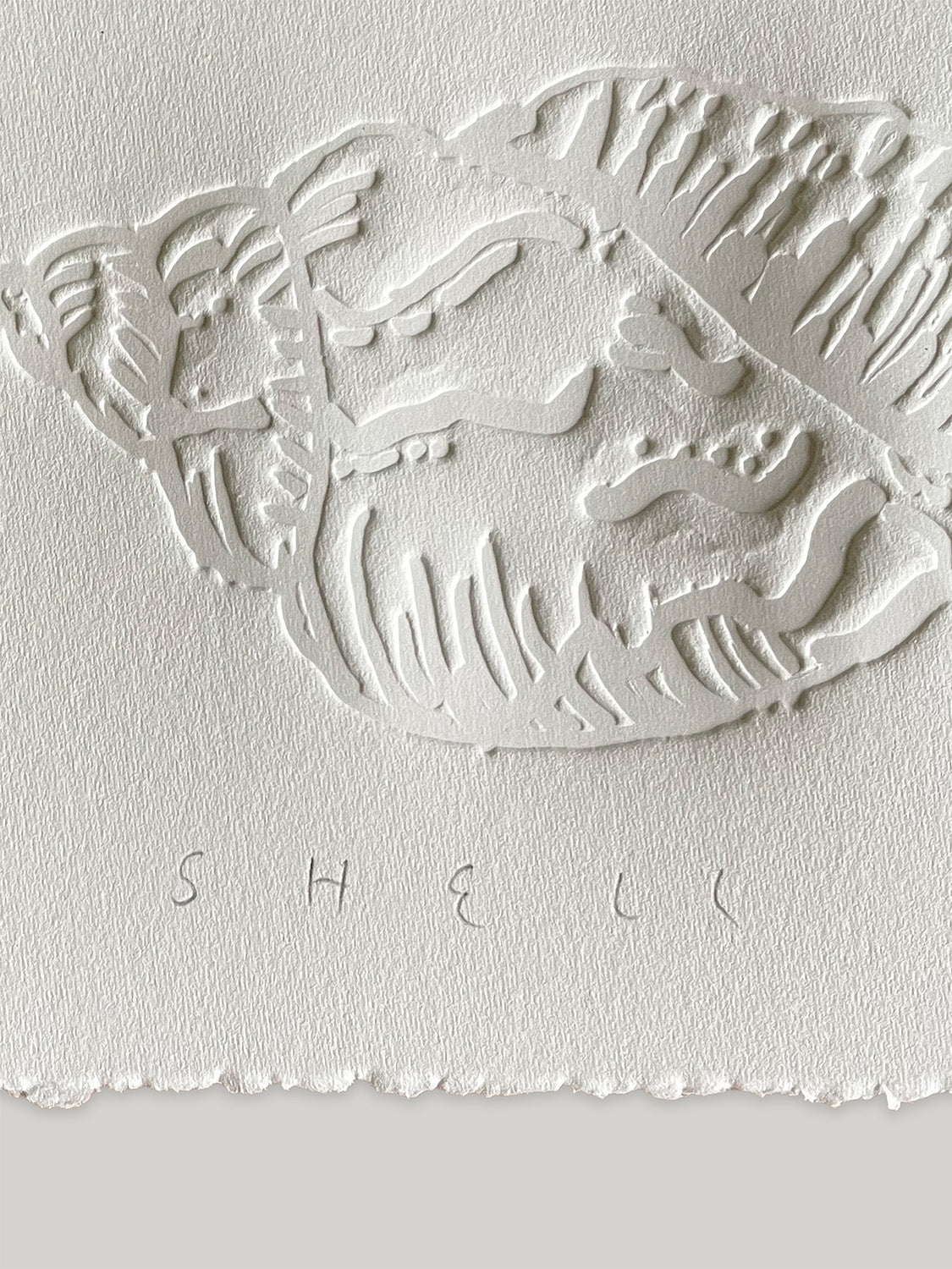 Conch shell hand-embossed artwork on white paper with 'Shell' text and deckled edges - close-up detail 2.