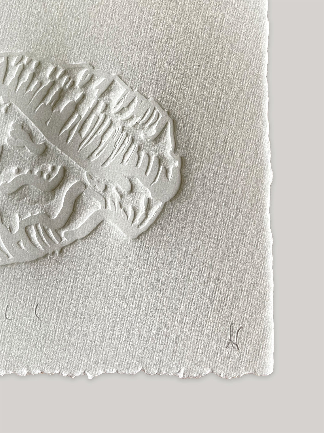 Conch shell hand-embossed artwork on white paper with 'Shell' text and deckled edges - close-up detail 3.