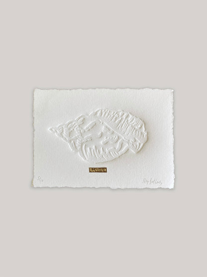 Limited Edition Conch Shell Hand Embossed Artwork