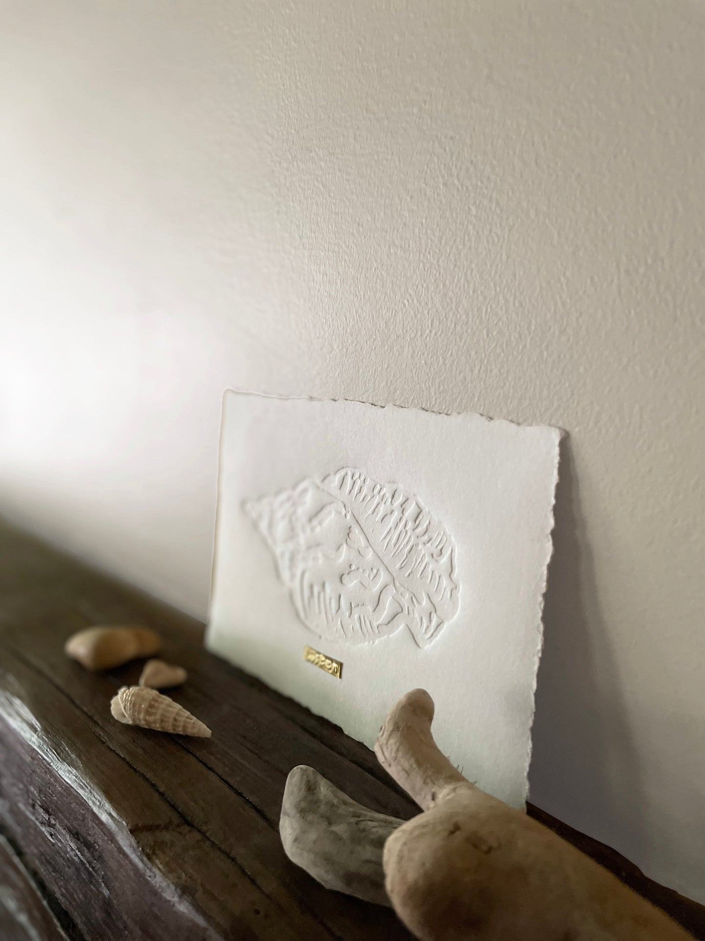 Limited Edition Conch Shell Hand Embossed Artwork