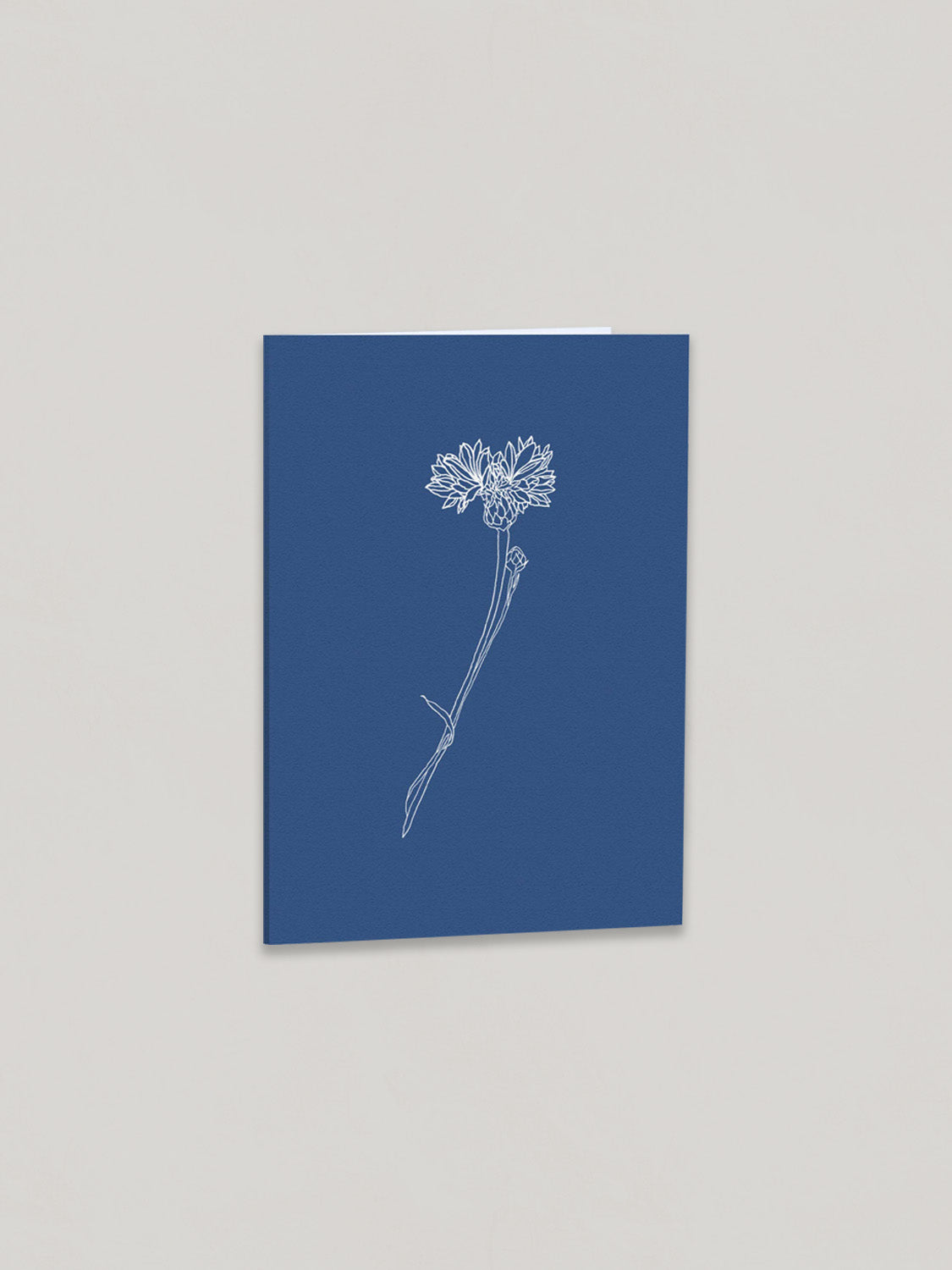 Cornflower botanical greetings card on a plain taupe background - front view.