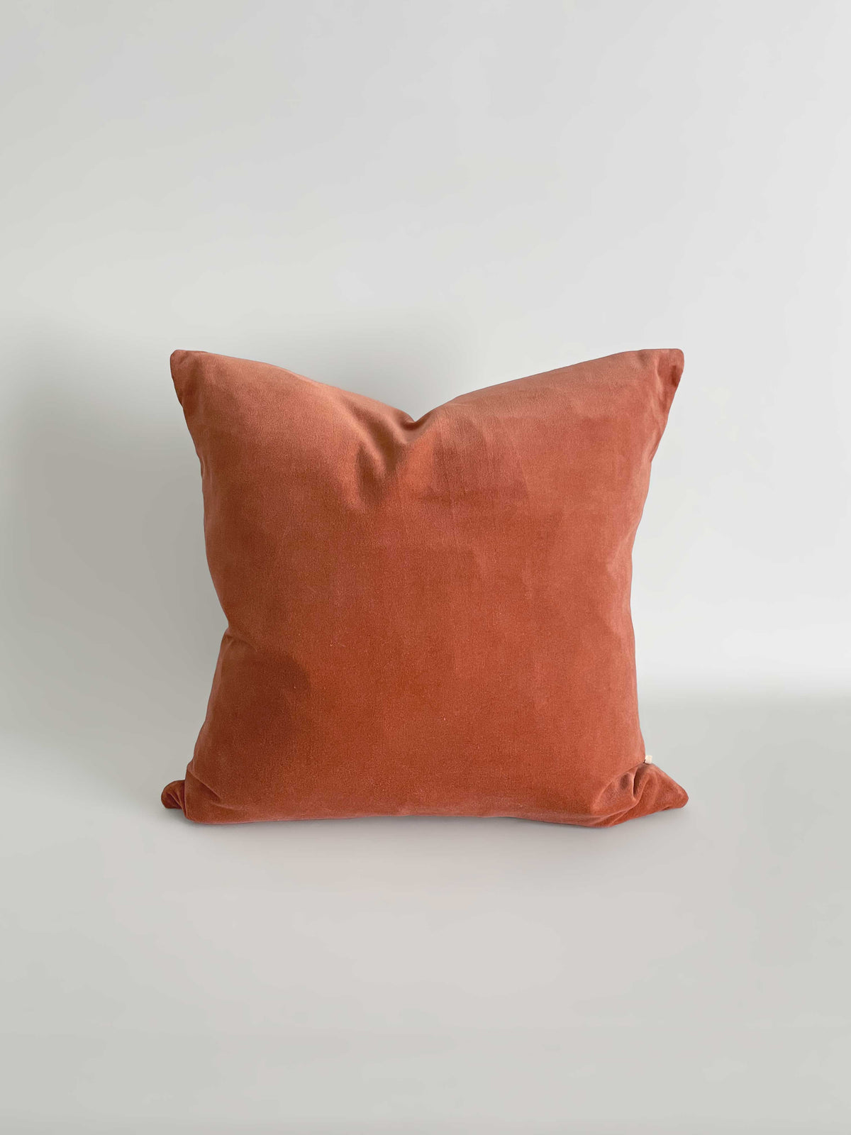 A square cushion in a terracotta velvet fabric, against a light neutral background.