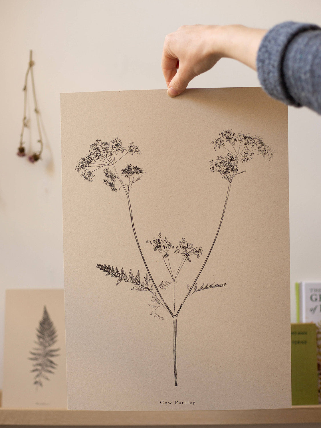 Hand holding a botanical art print of cow parsley on a beige background.