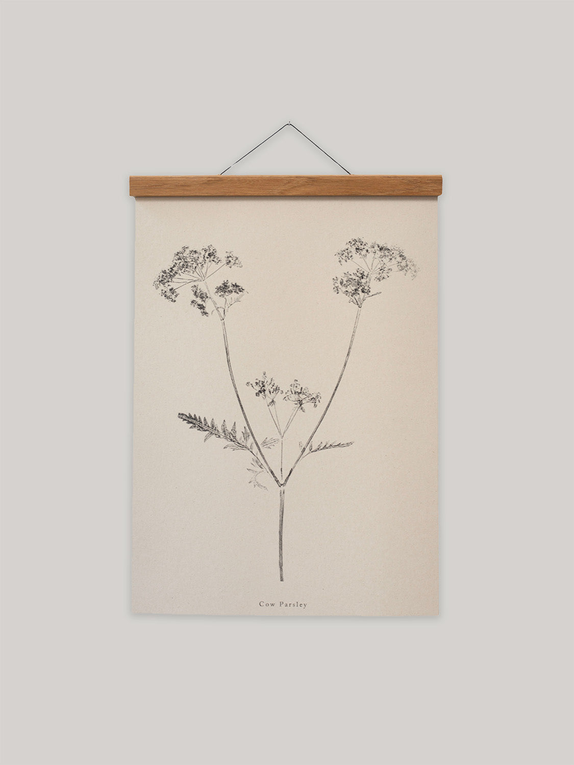 Botanical art print of cow parsley on a beige background with a wooden hanger.