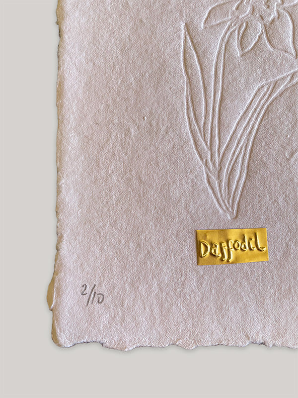 Limited Edition Daffodil Hand Embossed Artwork | A6