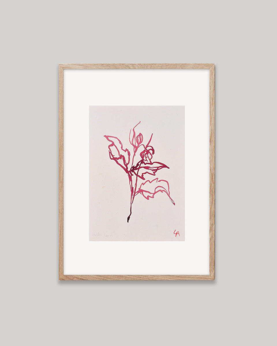 Art print of Dahlia leaves in red ink on vintage paper in a natural oak frame with an off-white mount