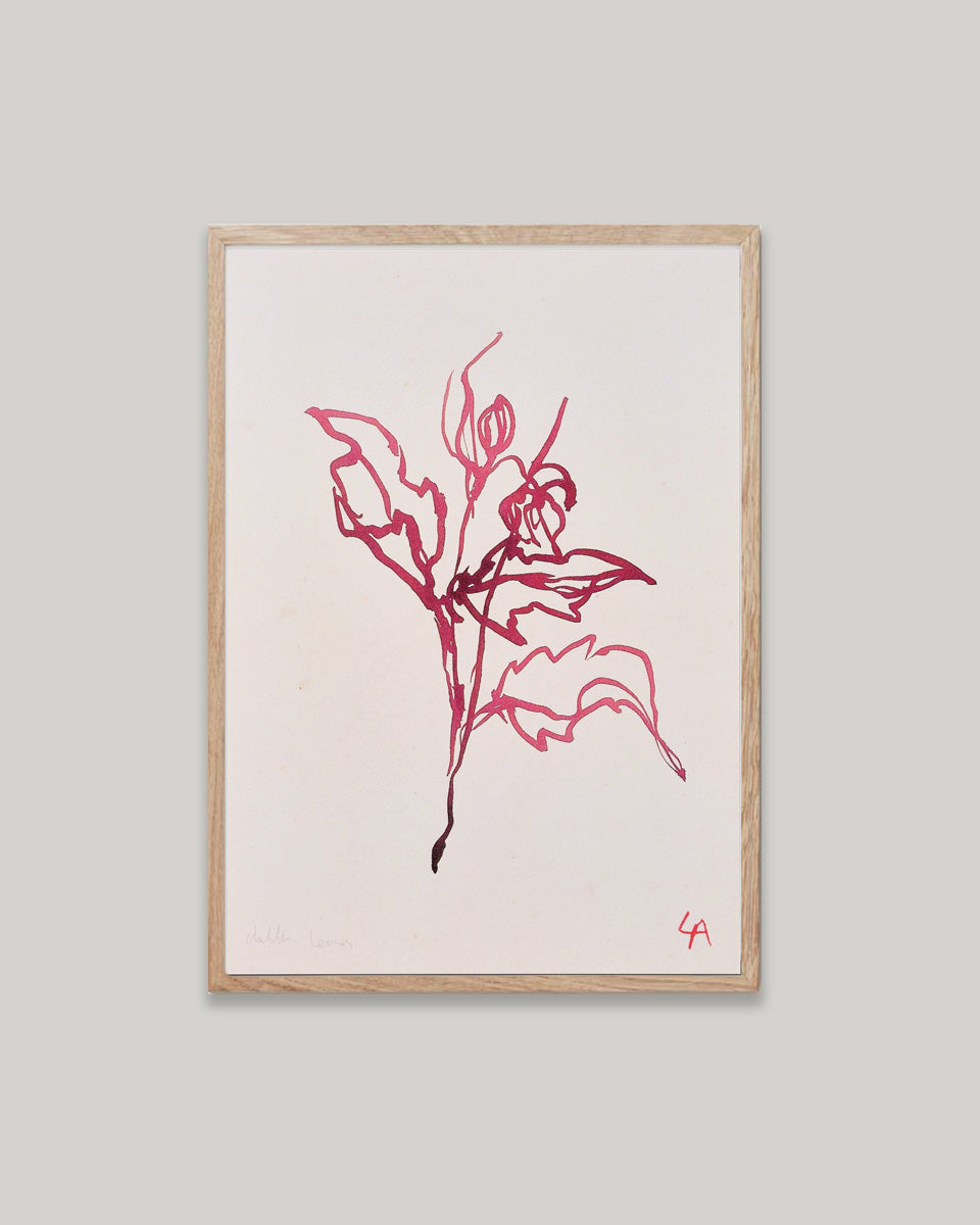 Art print of Dahlia leaves in red ink on vintage paper in a natural oak frame