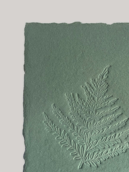 Fern hand-embossed artwork on handmade paper - detail 2.