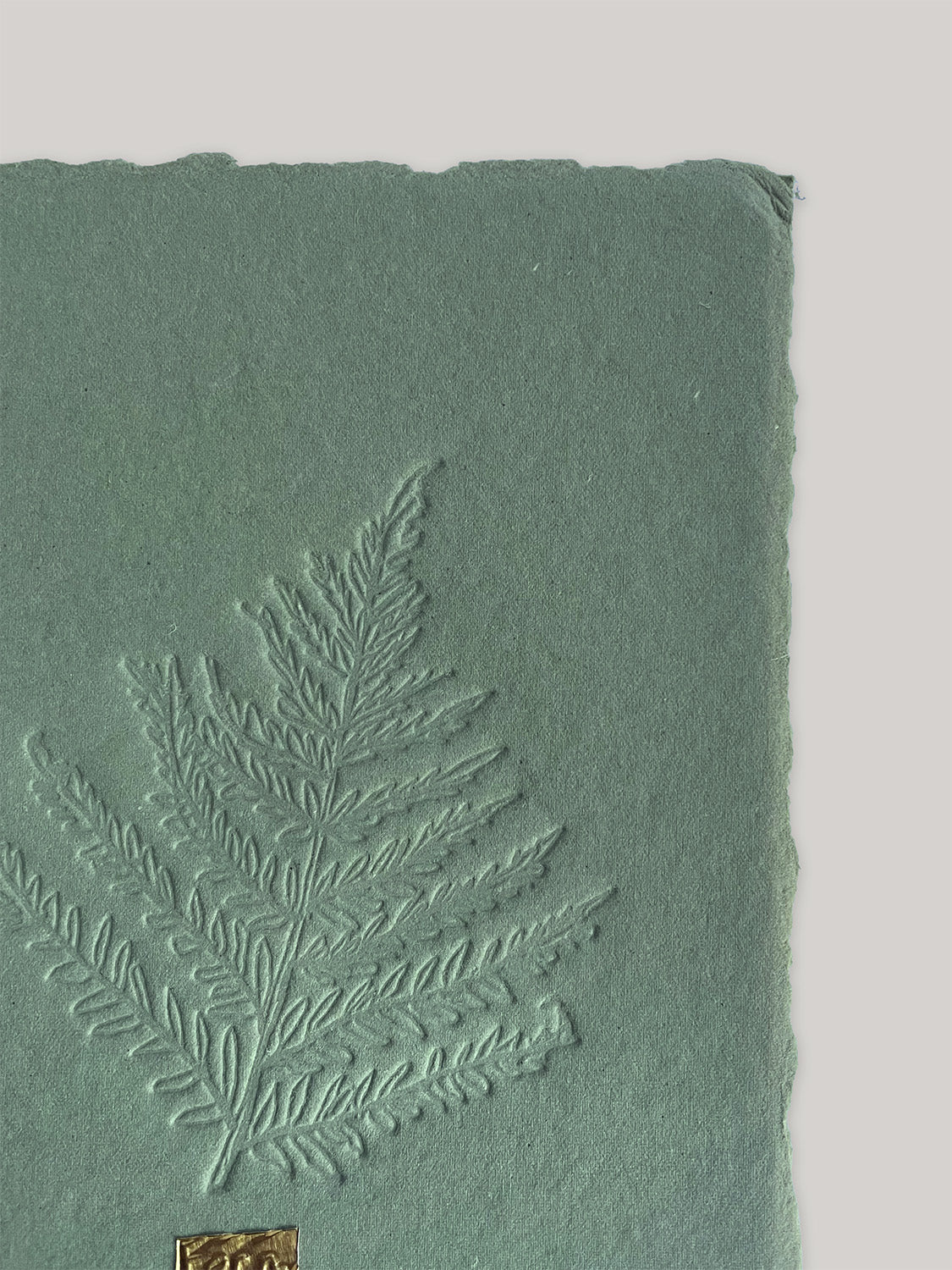 Fern hand-embossed artwork on handmade paper - detail 3.