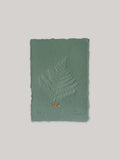 Fern hand-embossed artwork on handmade paper.