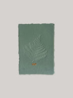 Fern hand-embossed artwork on handmade paper.