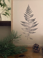 Framed print of a fern on a wall with greenery and pine cones in the foreground.