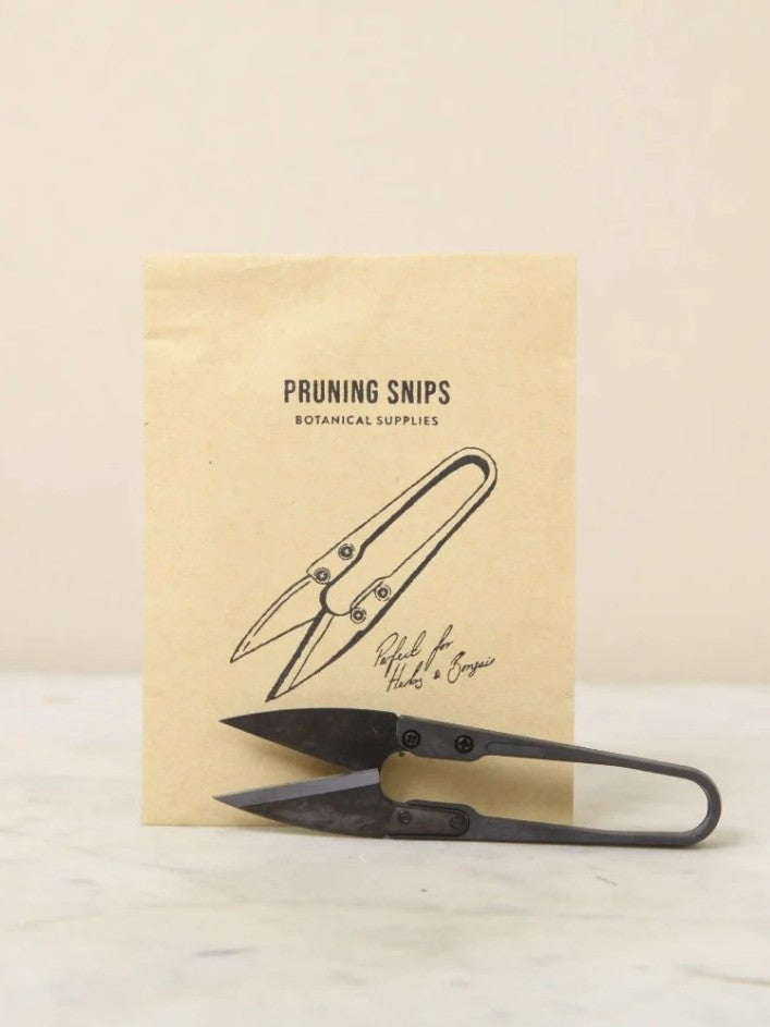 Fine Pruning Snips