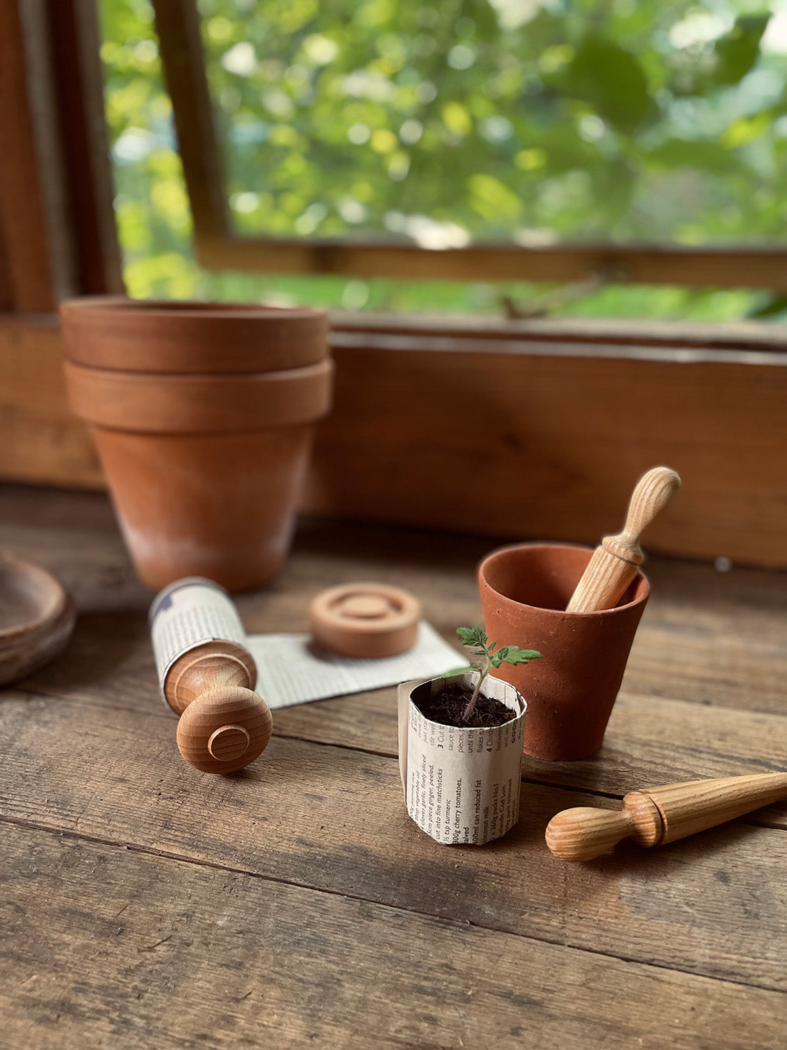Beech Paper Pot Press