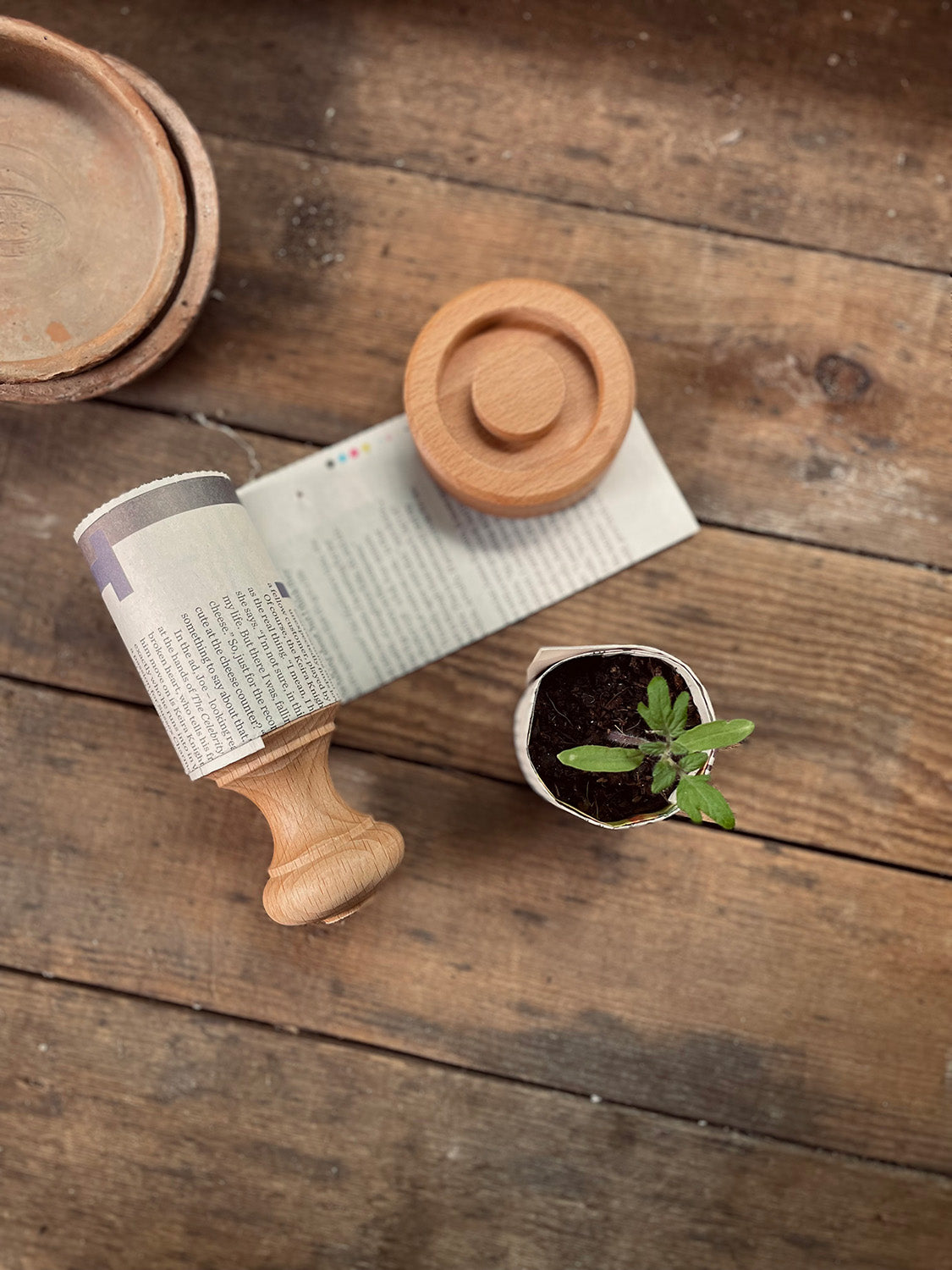 Beech Paper Pot Press