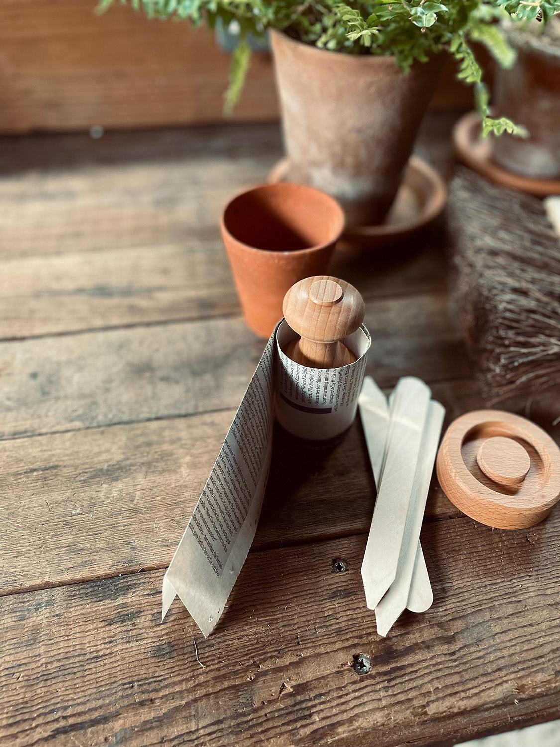 Beech Paper Pot Press