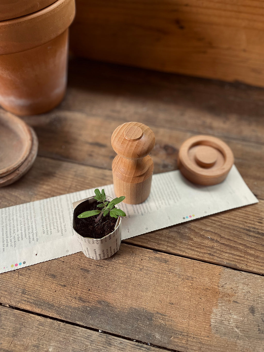 Beech Paper Pot Press