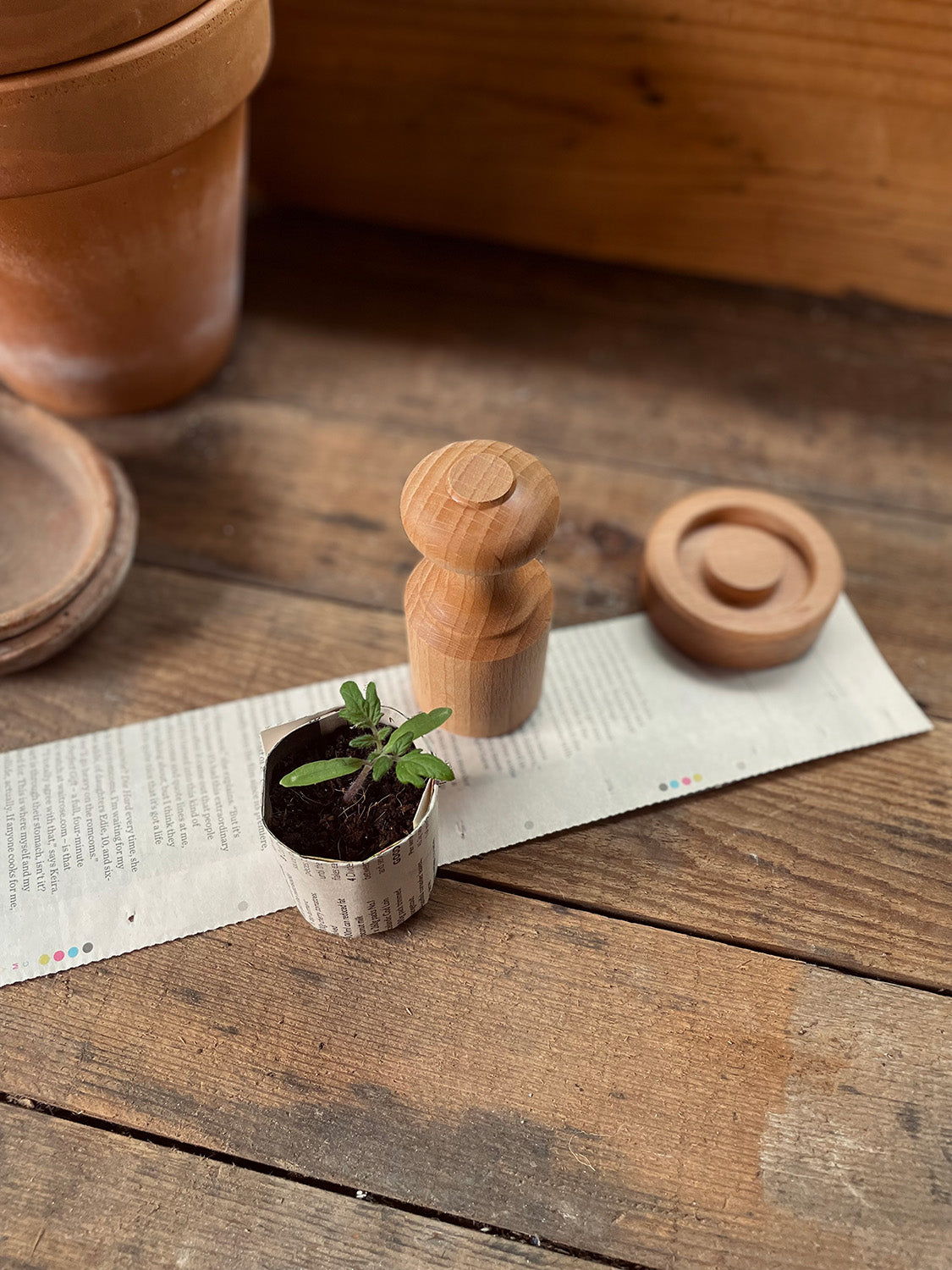 Beech Paper Pot Press