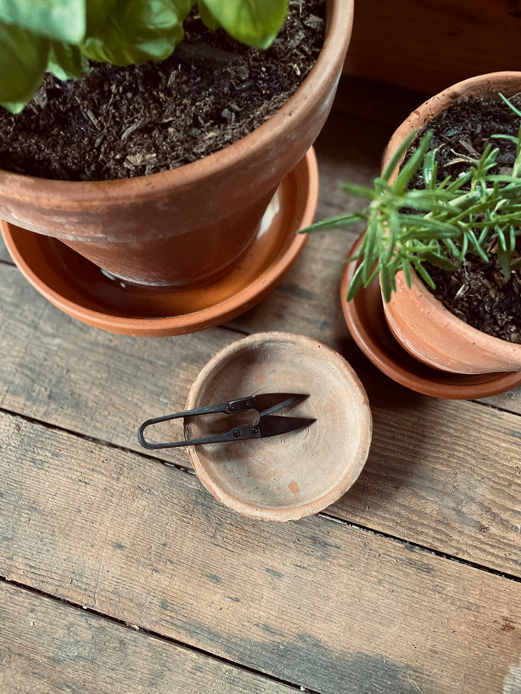 Fine Pruning Snips