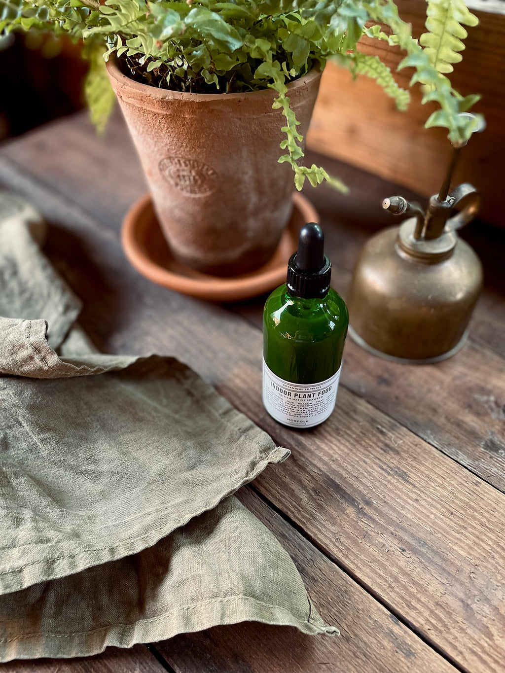 Indoor plant food solution in a dark green glass dropper bottle sitting on a rustic wooden surface, alongside a potted fern, vintage brass mister bottle and a folded linen cloth.