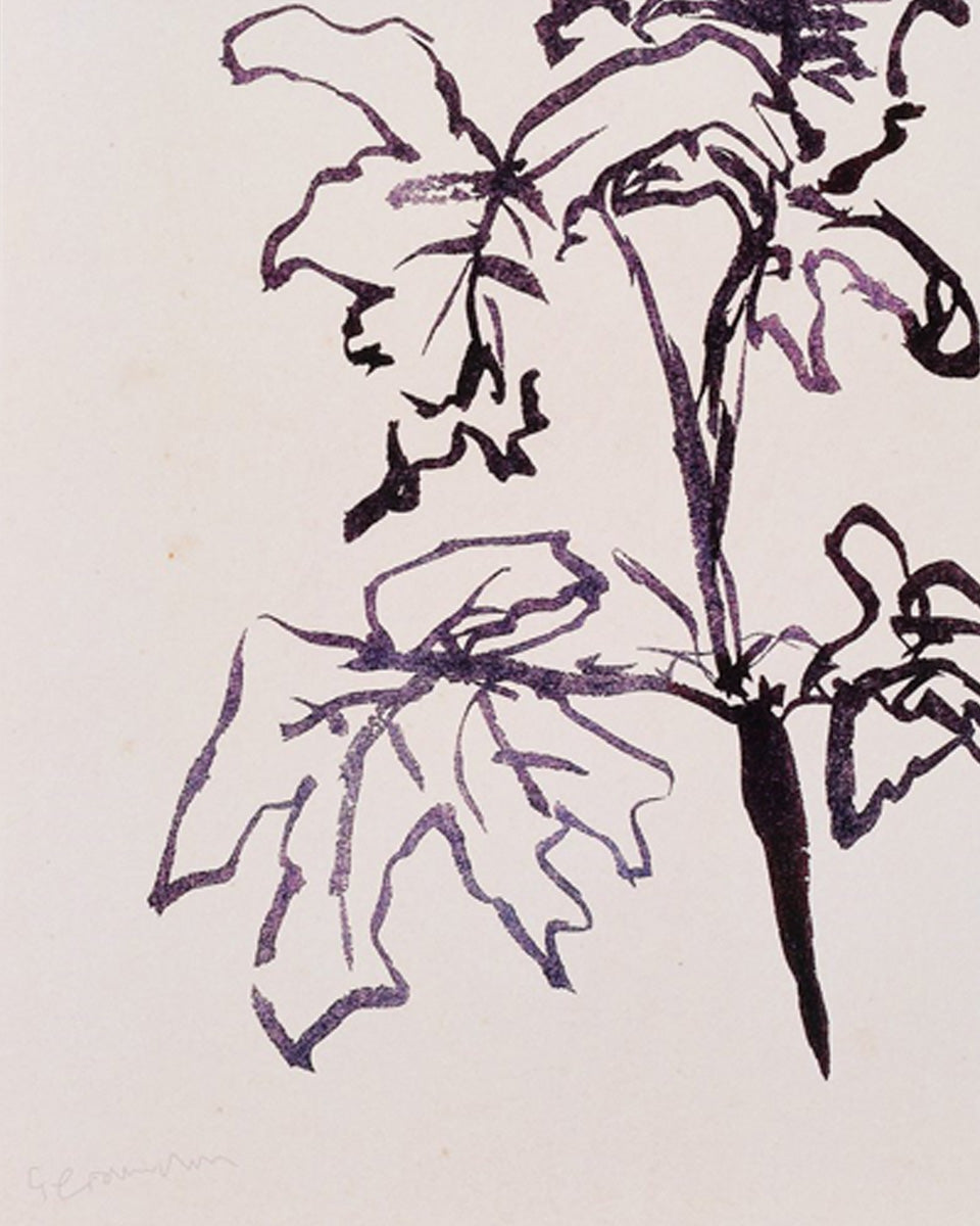 Close-up detail of art print of Geranium leaves in dark brown ink on vintage paper