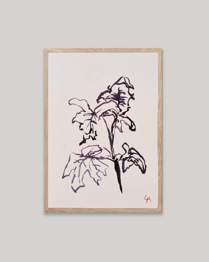 Art print of Geranium leaves in dark brown ink on vintage paper in a natural oak frame