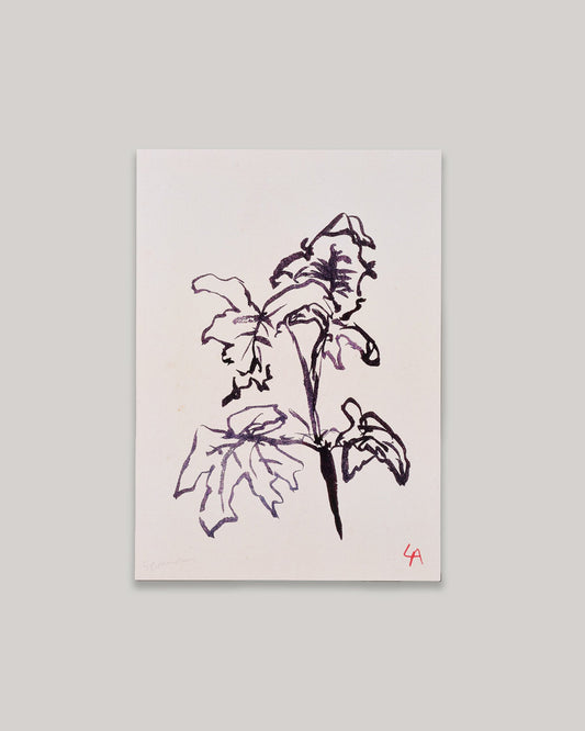 Art print of Geranium leaves in dark brown ink on vintage paper