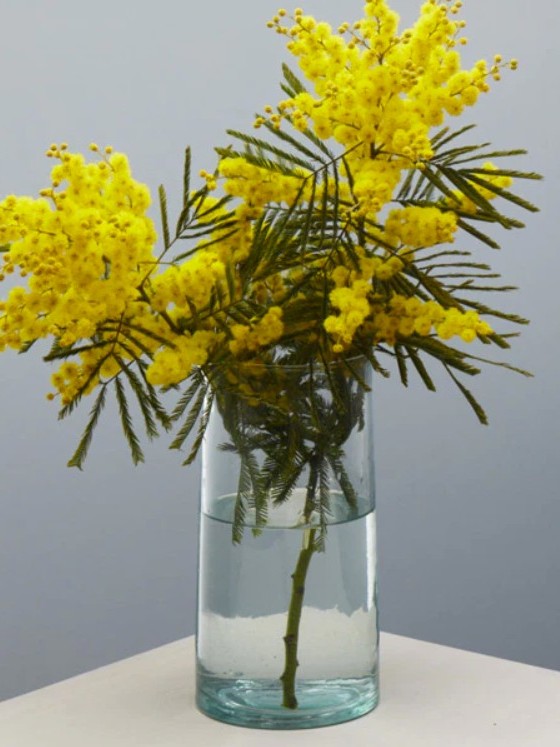 Handmade Recycled Glass Straight Carafe | 1 litre