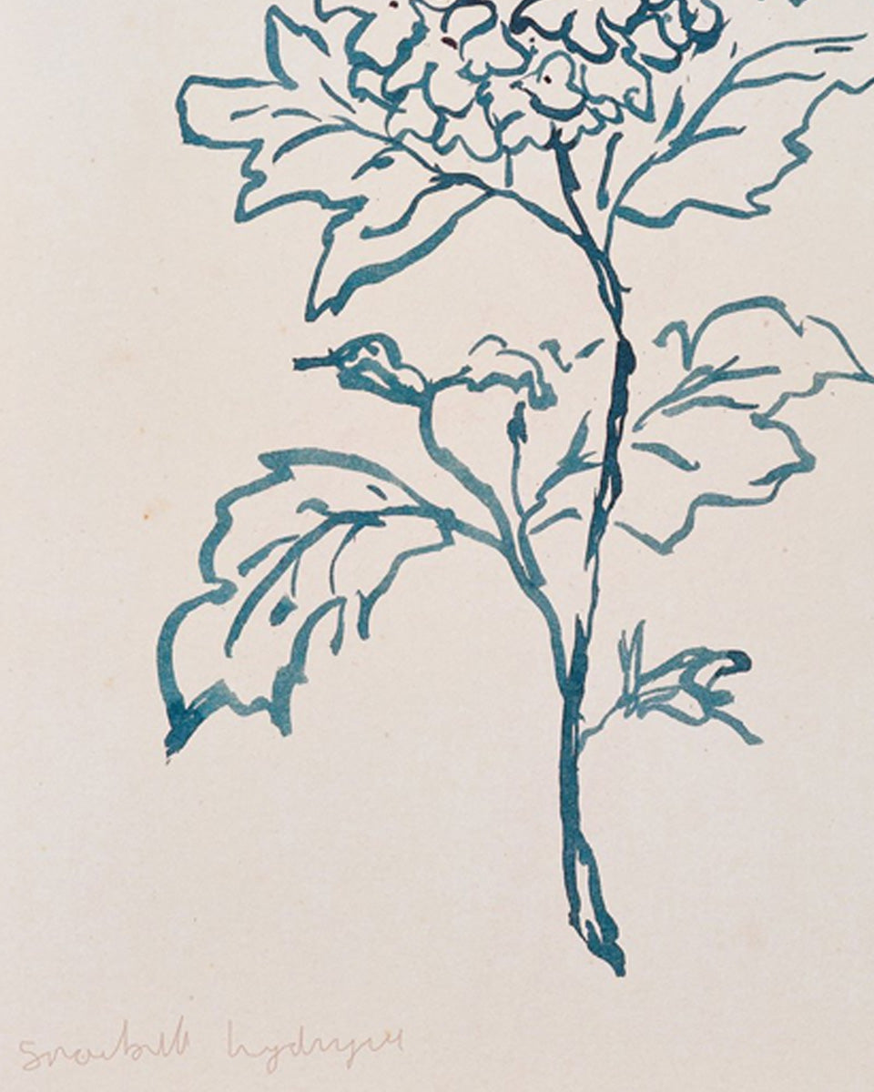 Close-up detail of art print of a Hydrangea flower in teal ink on vintage paper