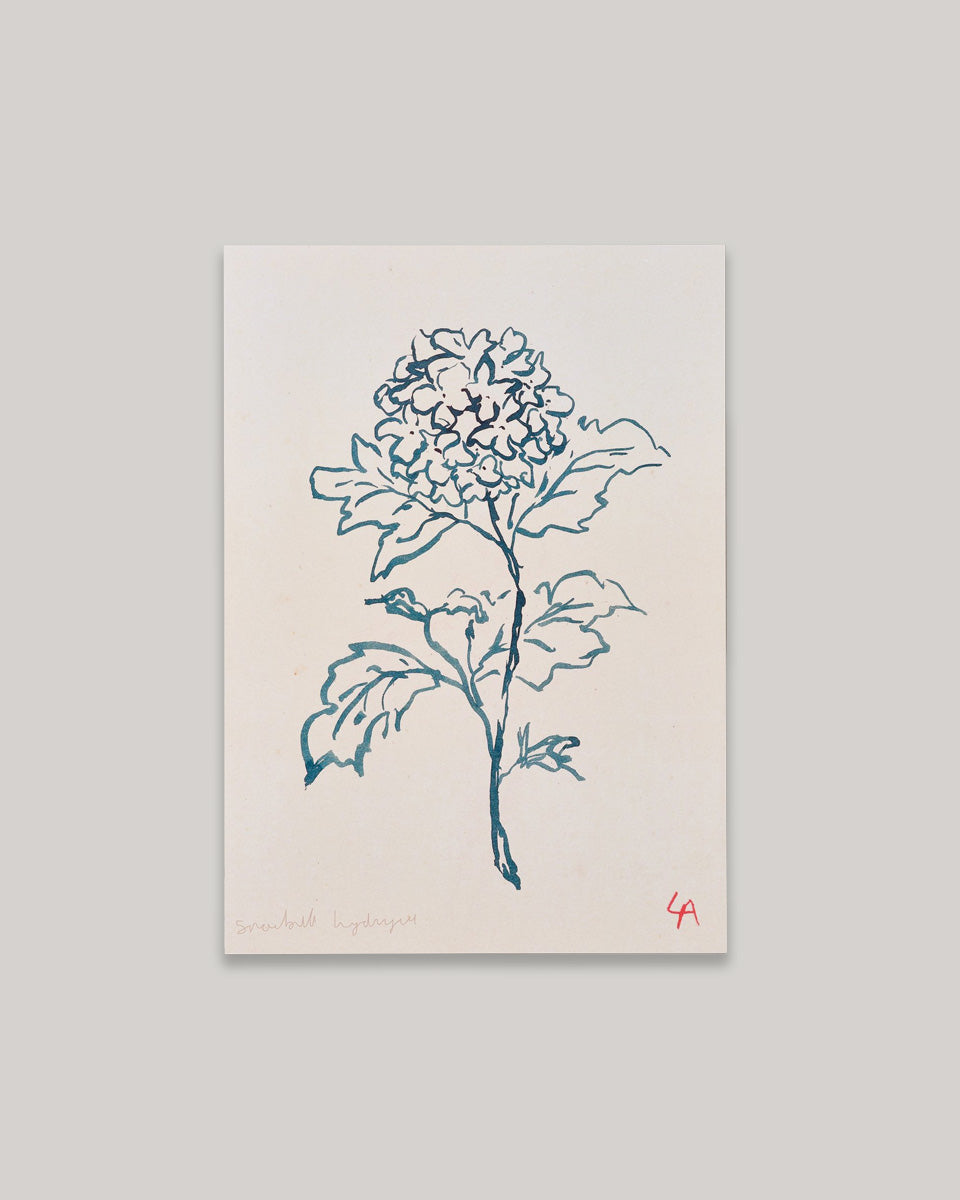 Art print of a Hydrangea flower in teal ink on vintage paper