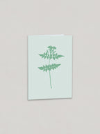 Jasmine botanical greetings card on a plain taupe background - front view.