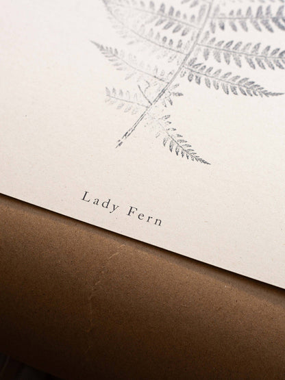 Close-up of fern leaf print on a beige background with 'Lady Fern' text.
